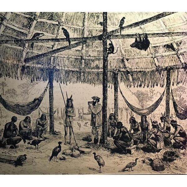 What Is the History of the Origin of the Hammock? Hammock Hanging